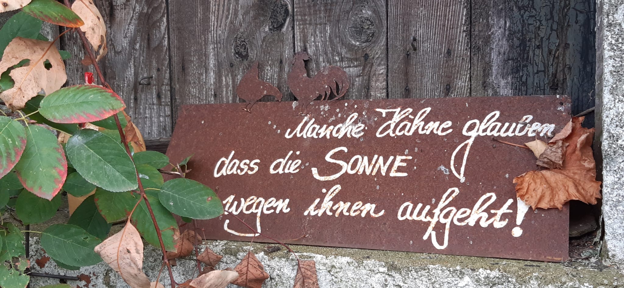 Impressionen